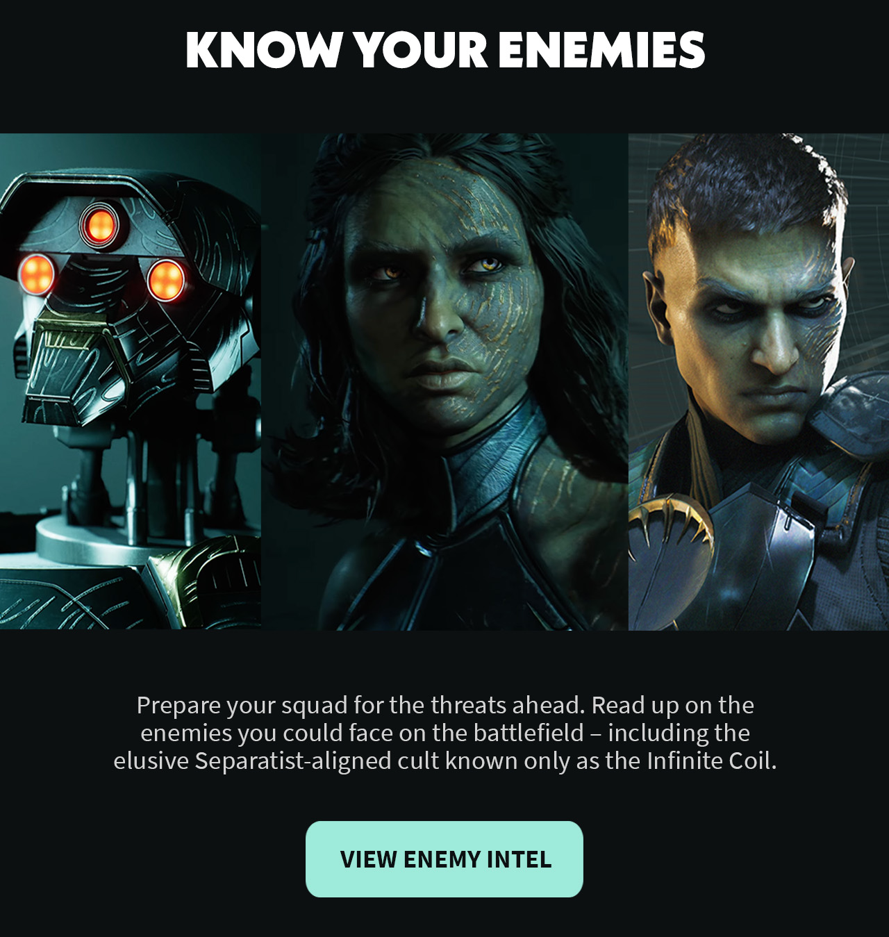 View Enemy Intel